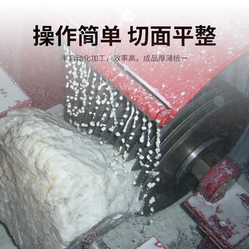 多刀片旋轉(zhuǎn)切片機(jī)RCM250